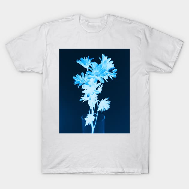 Cyanotype Art Printing Blue Flowers Daisy Photography T-Shirt by PodDesignShop